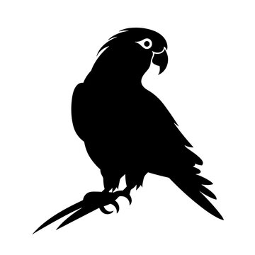 Black parrot silhouette