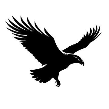 Black eagle silhouette