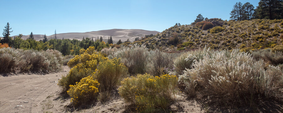 Medano Pass primitive road on the back side of the Great Sand Dunes National Park near Fort Garland Colorado United States