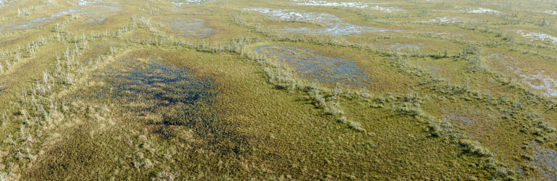 Aerial panorama looking down at a swampy northern forest. The landform is a string-bog which is comprised of shallow peat bogs and narrow strips of shrubs and black spruce trees.

