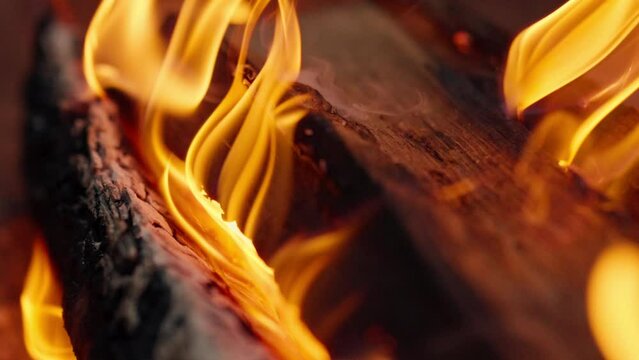 A close-up of wood burning in an open fire A bright flame of fire burns log for outdoor barbecuing 