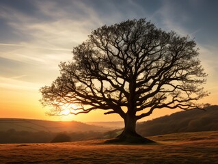Breathtaking Sunset: The Majestic Silhouette of an Oak Tree - Captivating Nature's Artistry Generative AI