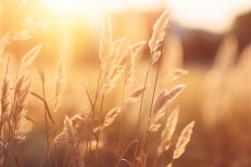 Dawn Break: Stunning Blurred Perspectives on a Grass Field at Sunrise Generative AI