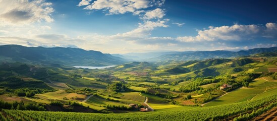 In the picturesque landscapes of Country, travelers marvel at the beautiful summer sky while exploring the rich green fields of vineyards and fruitful farms, where agriculture thrives and sustains - obrazy, fototapety, plakaty