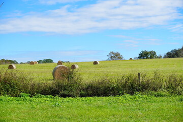 Round Hay stack in a florida farm and beautiful cloud	