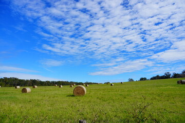 Round Hay stack in a florida farm and beautiful cloud	