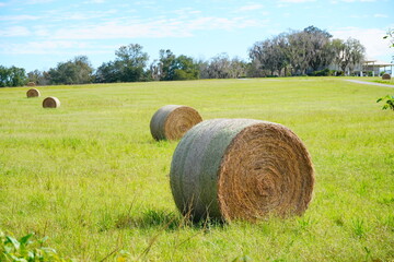 Round Hay stack in a florida farm and beautiful cloud	