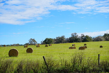 Fototapeta premium Round Hay stack in a florida farm and beautiful cloud 