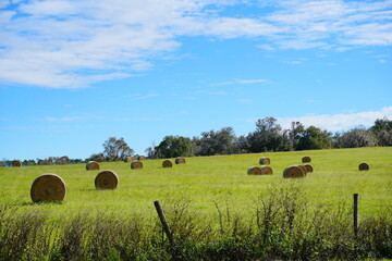 Round Hay stack in a florida farm and beautiful cloud	