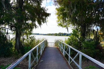 Fototapeta premium Middle lake park at Wesley Chapel, close to Tampa in Florida