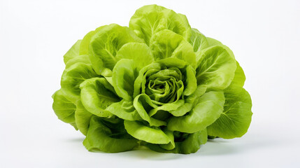 Fresh butterhead lettuce isolated on white, crisp green leaves, perfect for healthy salads, crisp and vibrant