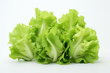 Fresh butterhead lettuce isolated on white, crisp green leaves, perfect for healthy salads, crisp and vibrant