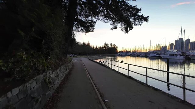 Boats in the Marina with City Scape, Buildings in Urban City. Sunny Sunrise, Fall Season. Coal Harbour, Downtown Vancouver, BC Canada. High quality 4k footage