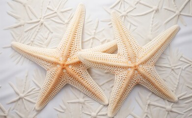 Stunning Dual Starfish: An Exquisite Capture in Pure White Sands Generative AI