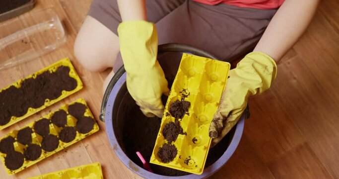Female hands in yellow rubber gloves fill an egg box with soil to reuse plastic container and plant seedlings or flowers in it.