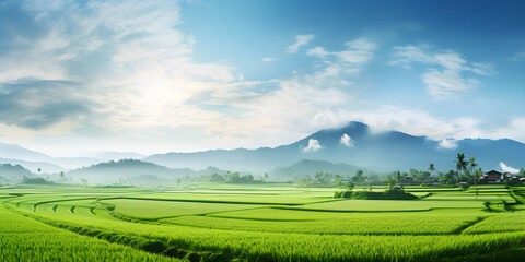 field and blue sky, Nature portrait of rice fields and mountains in rural Indonesia with sunrise,