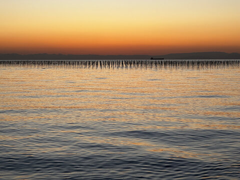 海苔養殖の支柱が並ぶ知多半島の海と夕焼