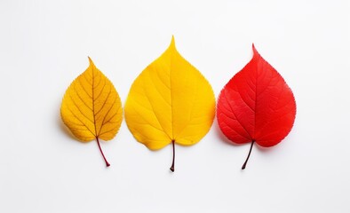 Stunning Contrast: Vibrant Yellow and Crimson Leaves on Pristine White - A Feast for the Eyes! Generative AI
