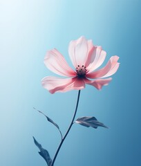 Stunning Contrast: A Solitary Pink Blossom Against Vibrant Blue Backdrop Generative AI