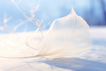 Unveiling Winter's Beauty: Solo White Leaf Against Snowy Blue Background Generative AI