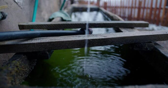 water gently flows into a water trough as it ripples on a foggy winter day
