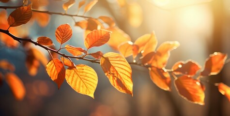 Splendor of Autumn: A Radiant Display of Sunlit Fall Leaves Generative AI