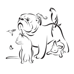 Group of pets design isolated on transparent background. Pet. Animals.