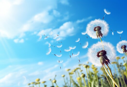 Captivating Dance of Dandelion Seeds Riding the Wind: Nature's Stunning Spectacle Generative AI
