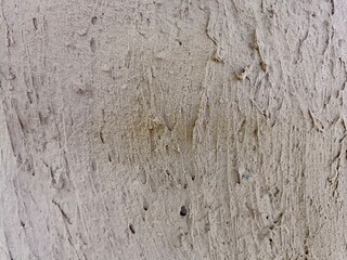 texture of old wood