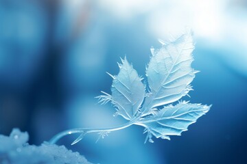 Captivating Winter Day: Vibrant Blue Leaf Frozen in Time - Breathtaking Wallpaper Generative AI