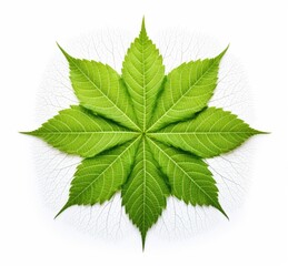 Experience the Lush Vivacity: Exquisite Isolated Green Leaf Image in Style 3 Generative AI
