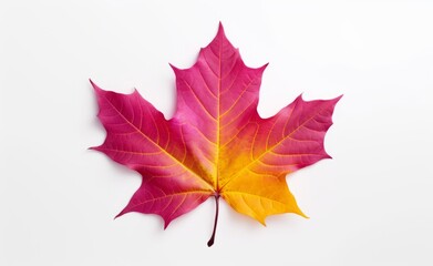 Stunning Solo Maple Leaf: Six Unique Views Isolated on White Background Generative AI