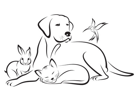Group of pets - Dog, cat, bird, rabbit, isolated on transparent background. Pets. Animals.