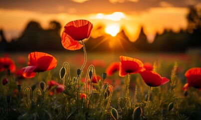 Mesmerizing Sunset Dancing Over a Field of Poppies: A Sight to Behold Generative AI