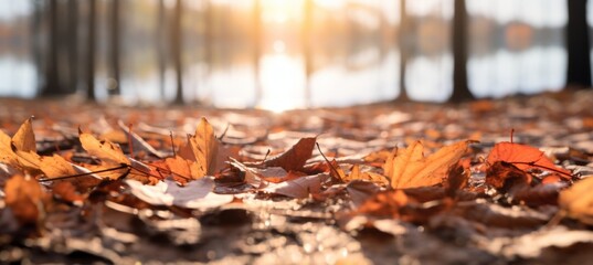 Experience the Golden Magic of Autumn: Stunning Sunlight in Fall Leaves Photo Generative AI