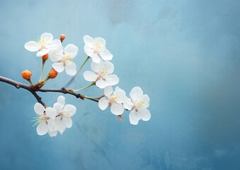 Exploring the Artistic Charm: Trio of White Flowers against a Tranquil Blue Backdrop Generative AI