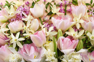Blossoming light pink tulips, light daffodils and spring flowers festive background, bright springtime bouquet floral card, selective focus