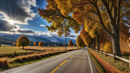 road in autumn,
Road with trees on both sides,
A road with autumn trees and a road with a road sign that says autumn.
A road with autumn leaves and a road,
