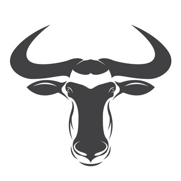  Wildebeest head isolated on transparent background. Wildlife Animals.
