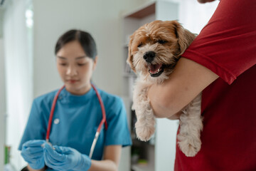 A dog is being given injections by a veterinarian at an animal hospital, A veterinarian prepares to...