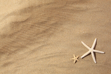 Fototapeta na wymiar Beautiful sea stars on sand, flat lay. Space for text