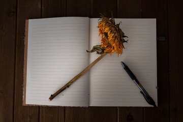 A dried sunflower and a pen resting on a wooden background to illustrate the concept of journaling through grief - 684021665