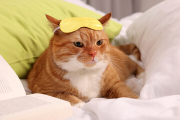 Cute ginger cat with sleep mask and book resting on bed