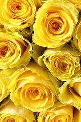 Beautiful bouquet of yellow roses as background, top view