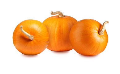 Many fresh orange pumpkins isolated on white
