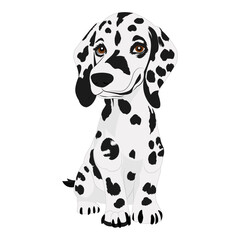 dalmatian dogs cartoon