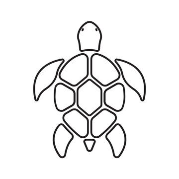 Turtle design isolated on transparent background. Wildlife Animals.