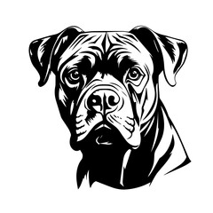 Cane Corso