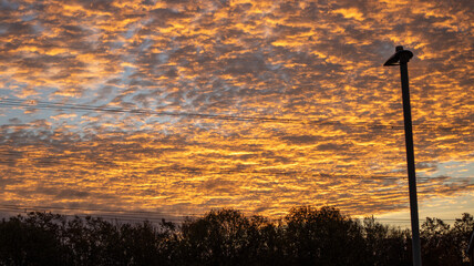 Morning Sky in Shades of Orange with Gently Rippled Clouds