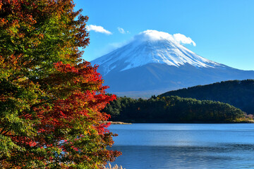 絶景紅葉と富士（快晴の河口湖畔から臨む）